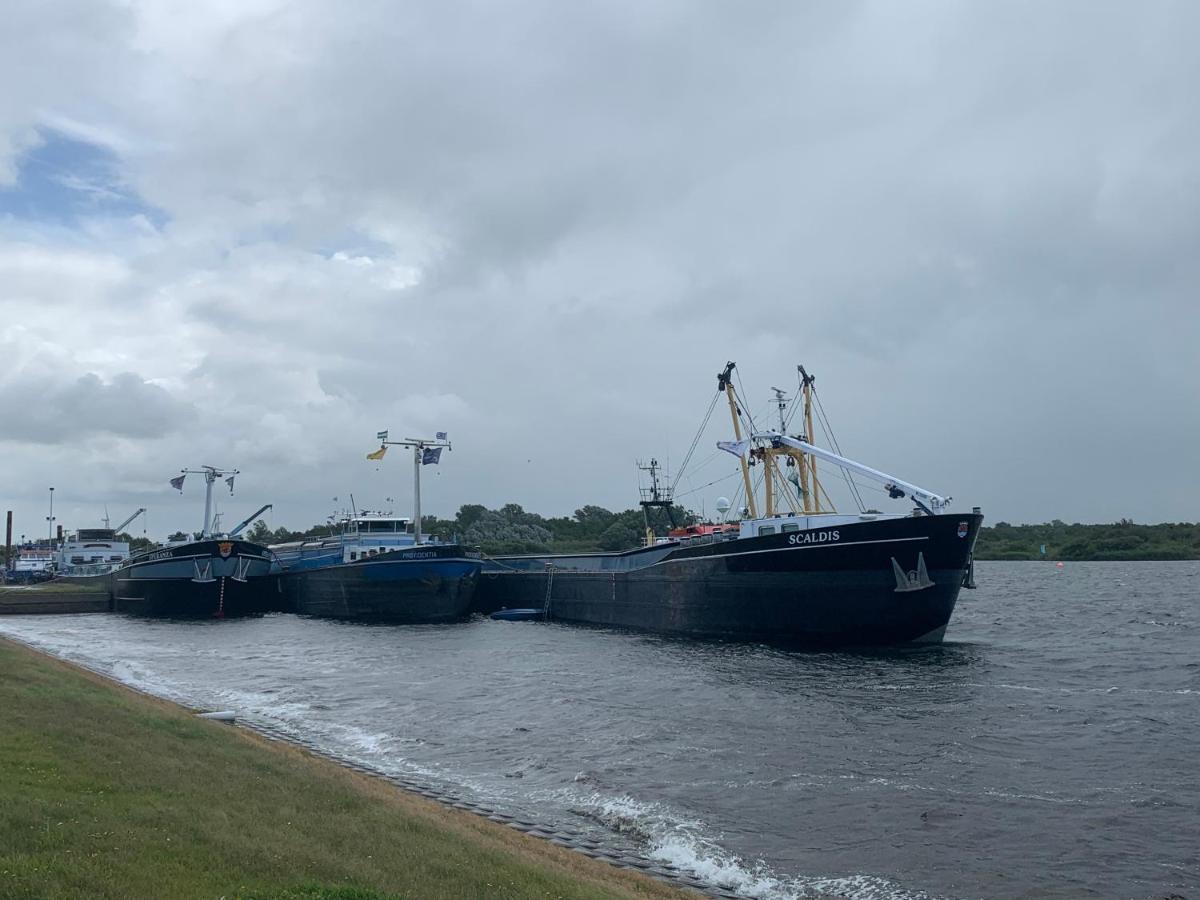 Dijkhofje, Dichtbij Strand, Zee En Meer. 弗劳温普尔德 外观 照片